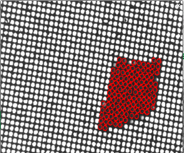 国产精品扒开腿做爽爽爽日本无码